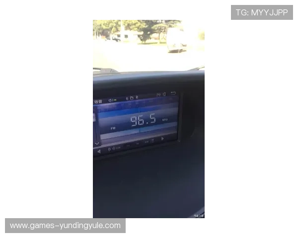 云顶4008无法进入的常见问题及排查步骤指南