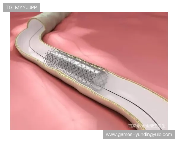 如果需要更多类似的标题或其他方面的帮助，请随时告诉我！