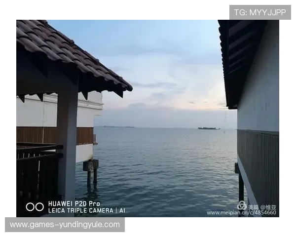 马来西亚云顶集团多元化业务模式及其在国际市场的扩展策略